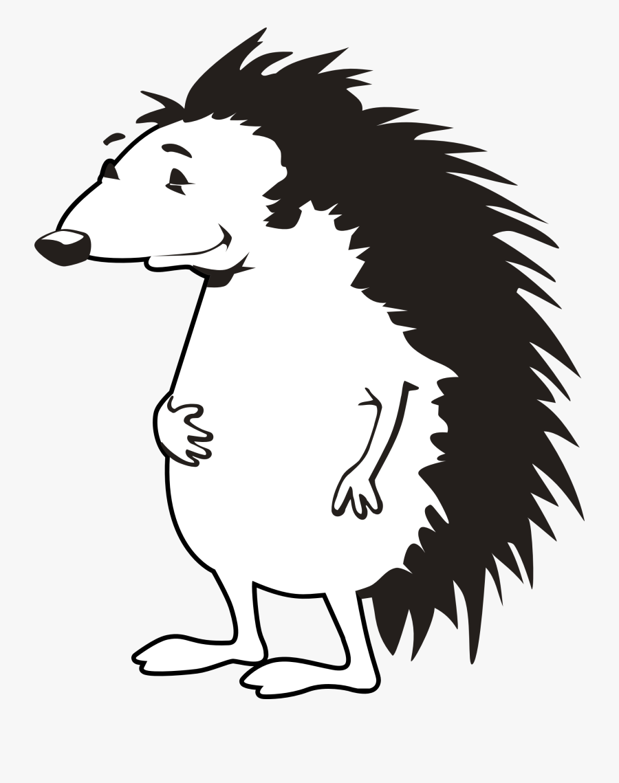 Porcupine Clipart, Transparent Clipart
