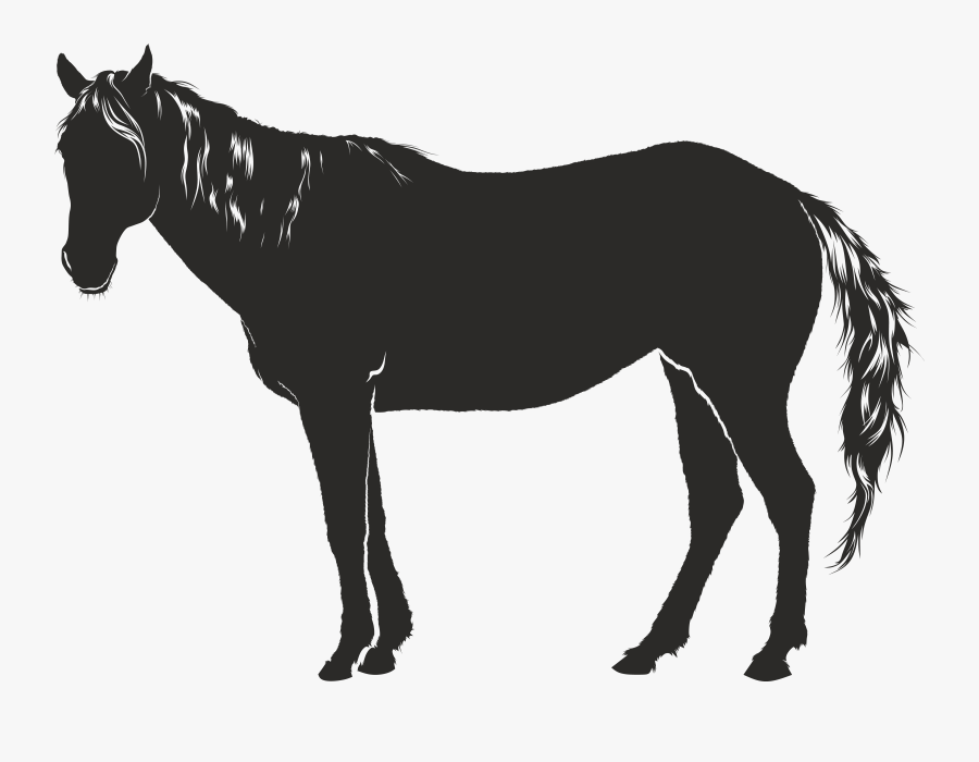 Free Clipart Of A Horse Rh Free Clipartof Com Clipart - Cavalo Sombra Png, Transparent Clipart