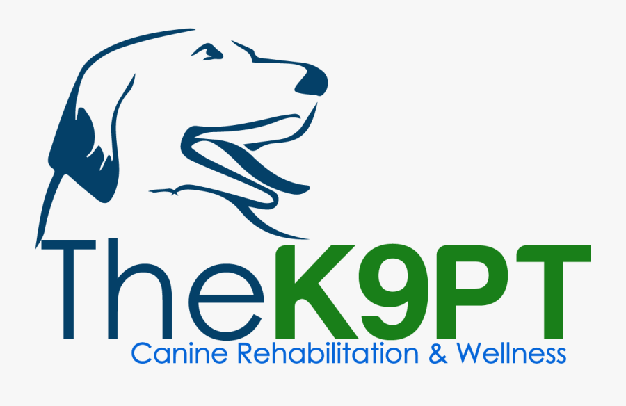 Health, Transparent Clipart