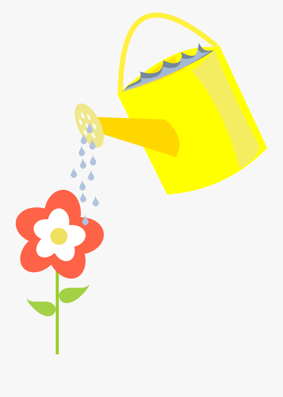 Ewer Watering Flower Free Picture - Single Flower Being Watered, Transparent Clipart
