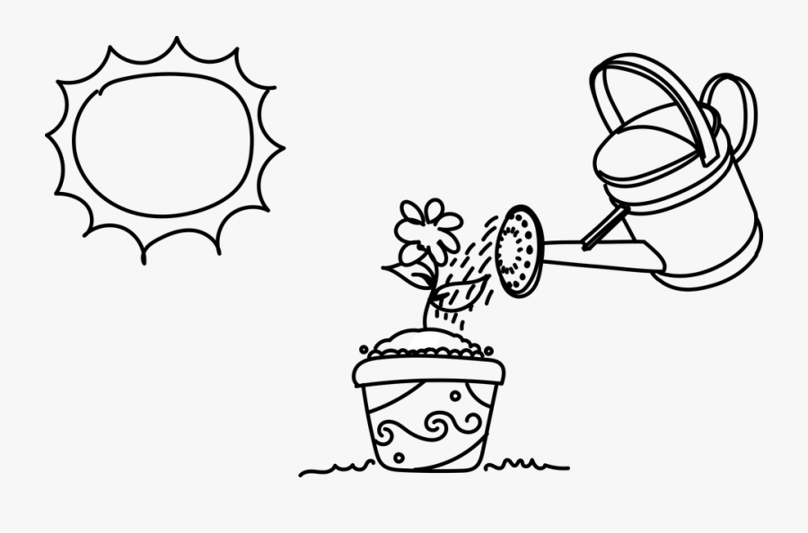 Shower, Water, Plants, Sun, Nature, Green, Drops - Garden Water Can Drawing, Transparent Clipart