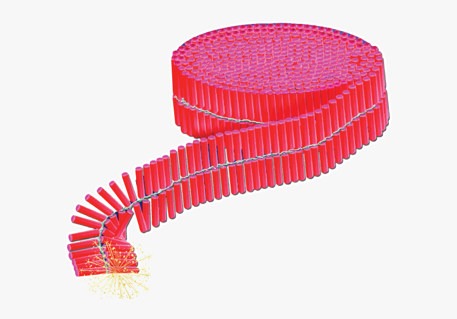 Tamilnadu Crackers, Transparent Clipart