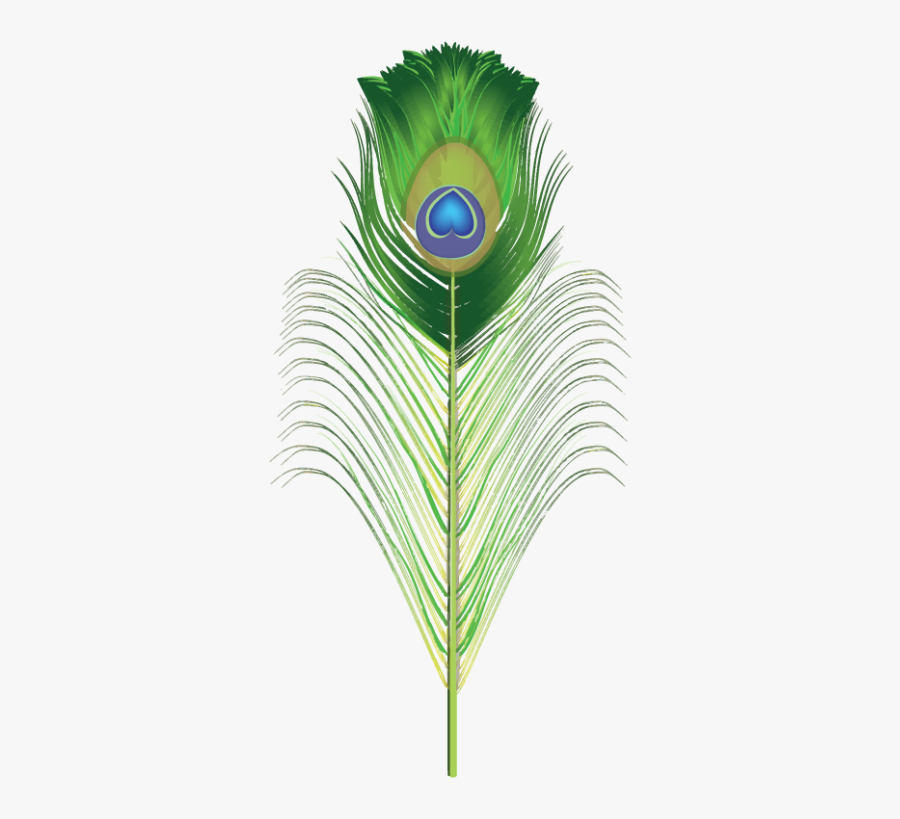 Peacock Brush For Adobe Illustrator Green Png Png Images - Portable Network Graphics, Transparent Clipart