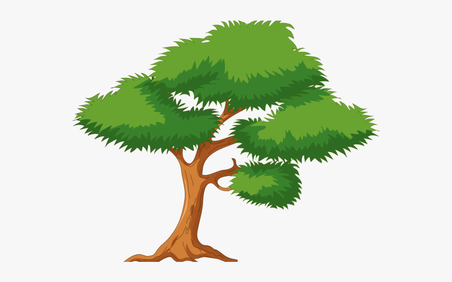 Transparent Background Cartoon Tree Png, Transparent Clipart