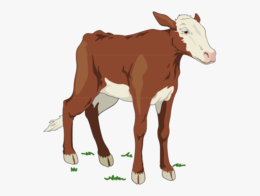 Baby Cow Clip Art Png, Transparent Clipart