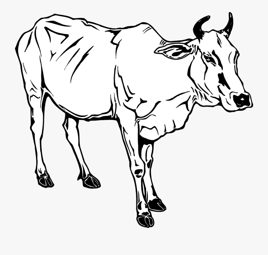 Sarat Chandra Chattopadhyay Mahesh, Transparent Clipart