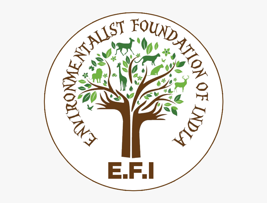 World Environment Day 2011 Theme, Transparent Clipart