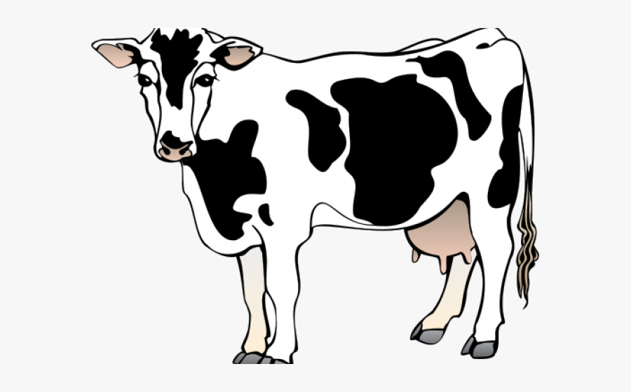 Animated Image Of Cow, Transparent Clipart