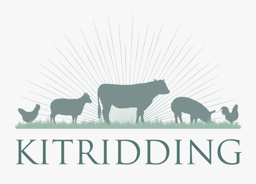 Dairy Cow , Png Download - Dairy Cow, Transparent Clipart