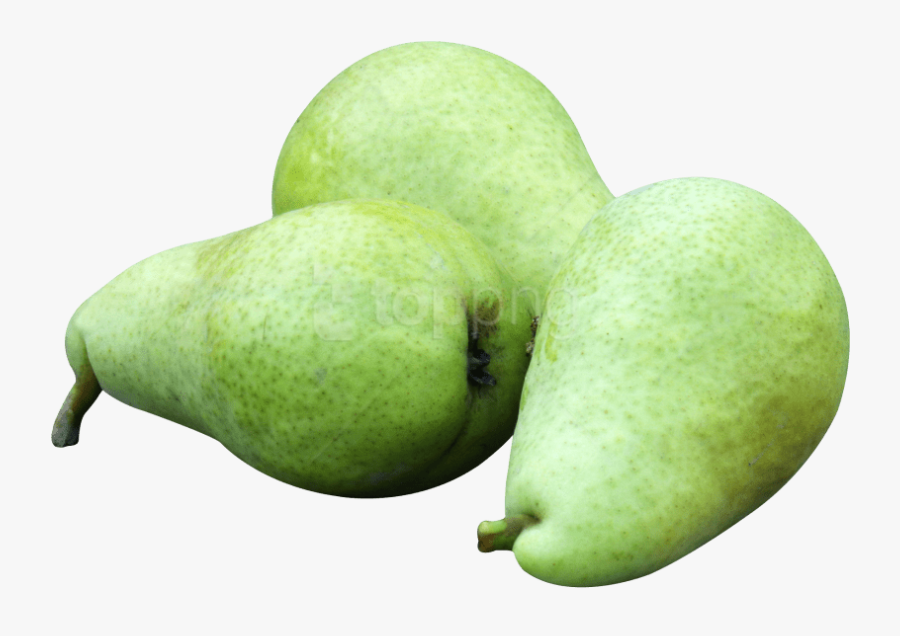Free Png Pear Fruits Png Images Transparent - Pear Fruit Transparent, Transparent Clipart