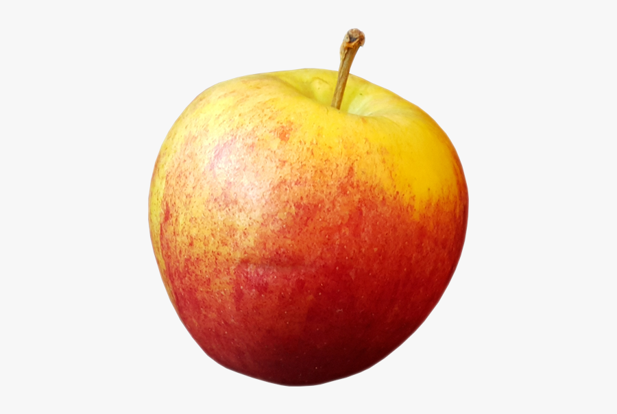 Apple Fruit Clipart Transparent Background - Transparent Background Apple Png, Transparent Clipart