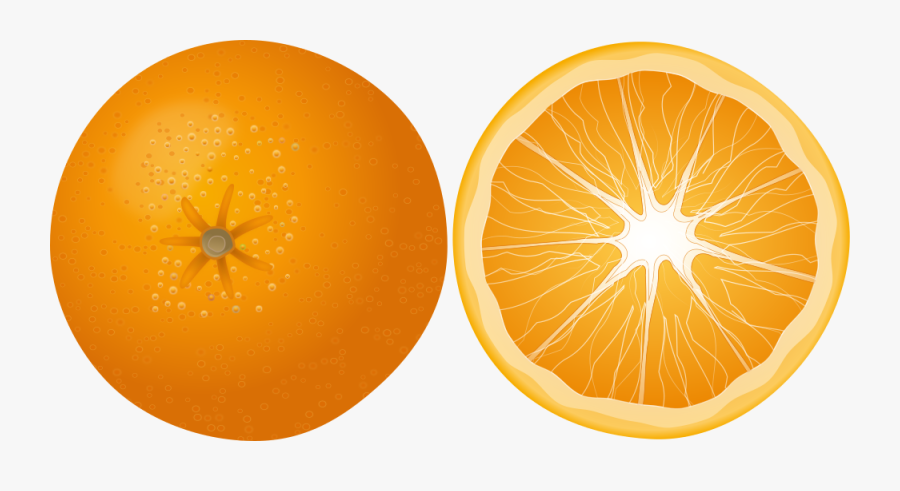 Orange, Fruit, Mandarin, Citrus Fruit, Juicy, Yummy - Orange Slice Png Free, Transparent Clipart