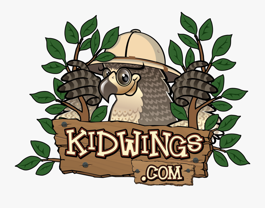Kidwings, Transparent Clipart