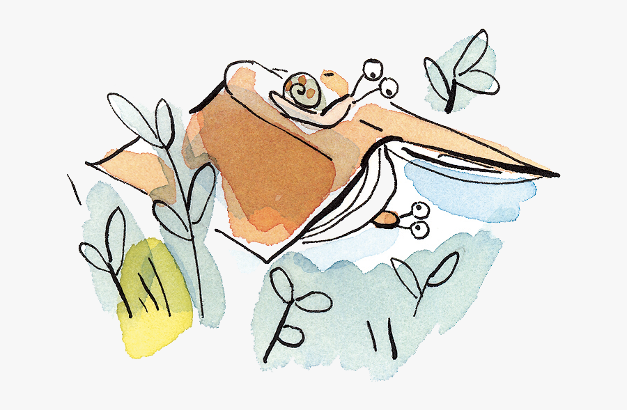 Summer Reading - Sketch, Transparent Clipart