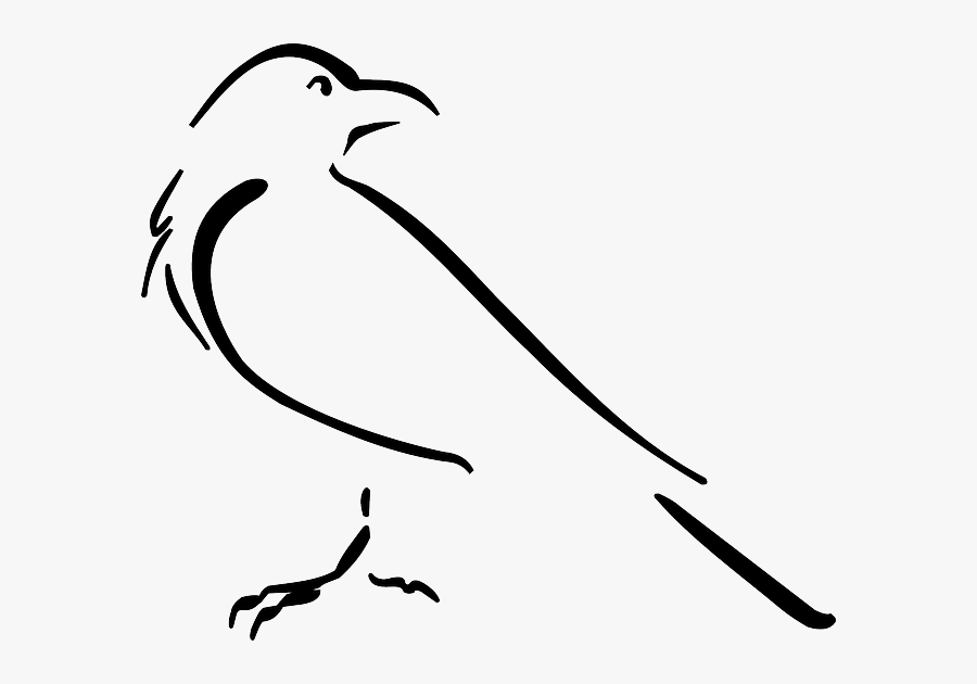 Collection Of Free Spine Drawing Bird Download On Ui - Crow Drawing Outline, Transparent Clipart