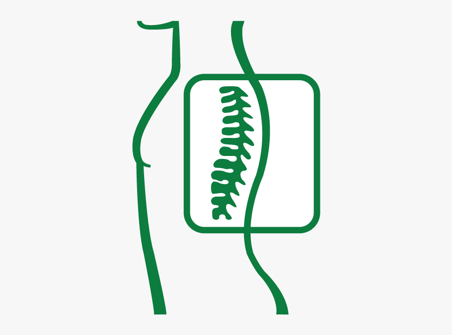 Free Spinal Screening Icon, Transparent Clipart
