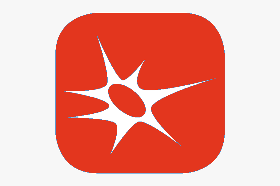 Circle, Transparent Clipart