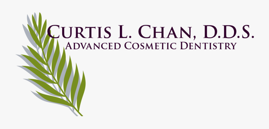 Link To Curtis L - Illustration, Transparent Clipart