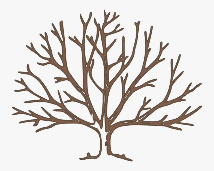 Be The Branch - Tree With 10 Branches, Transparent Clipart