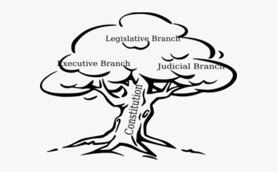 Government Power Cliparts - Tree Black & White, Transparent Clipart