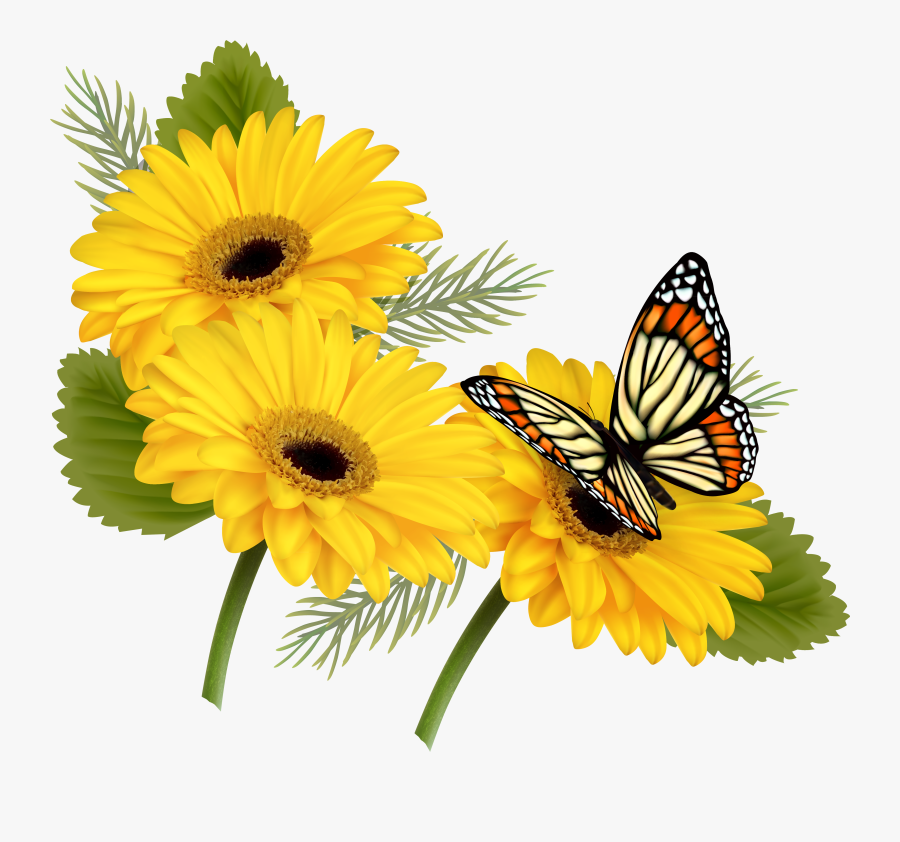 Yellow Gerberas With Butterfly Png Clipart - Butterfly On Flower Clipart, Transparent Clipart