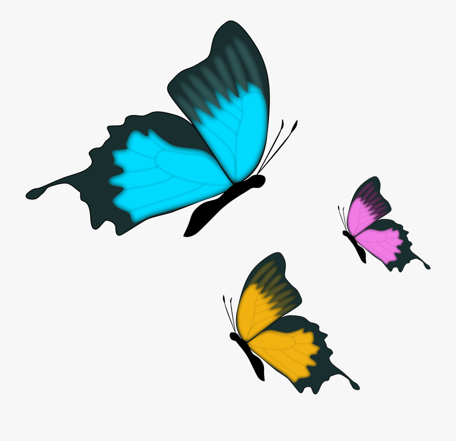 Download Belly And - Live Like A Butterfly Quotes, Transparent Clipart