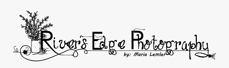 Calligraphy, Transparent Clipart