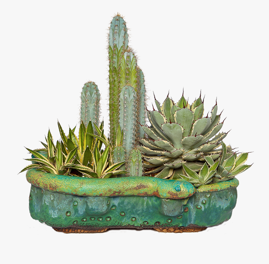 Clip Art Cactus In Pots - Rick Van Dyke Pottery, Transparent Clipart