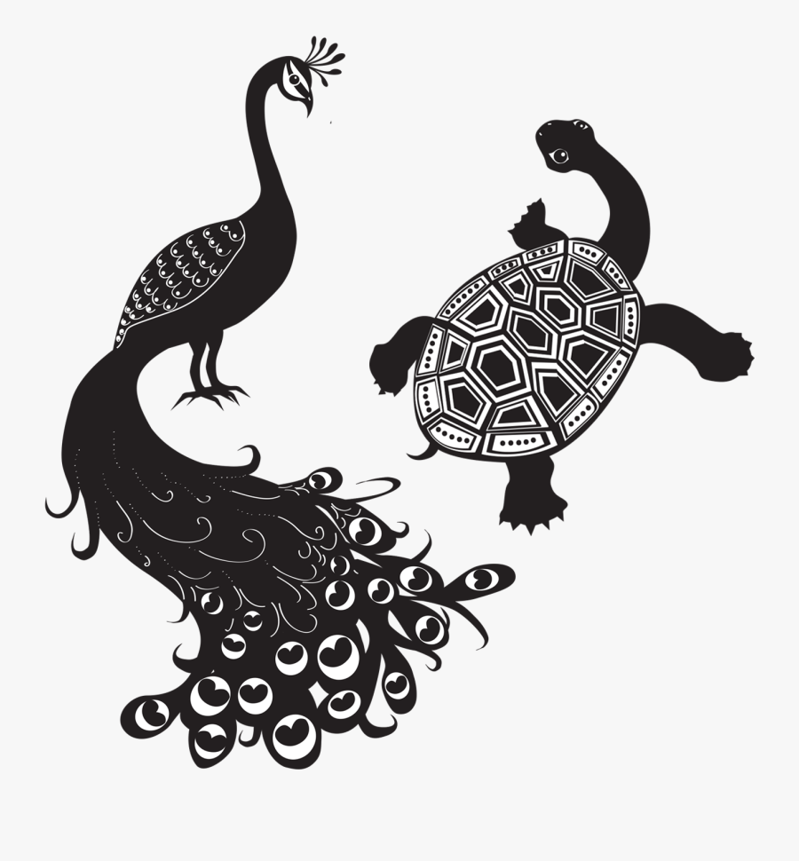 Peacock And The Tortoise, Transparent Clipart