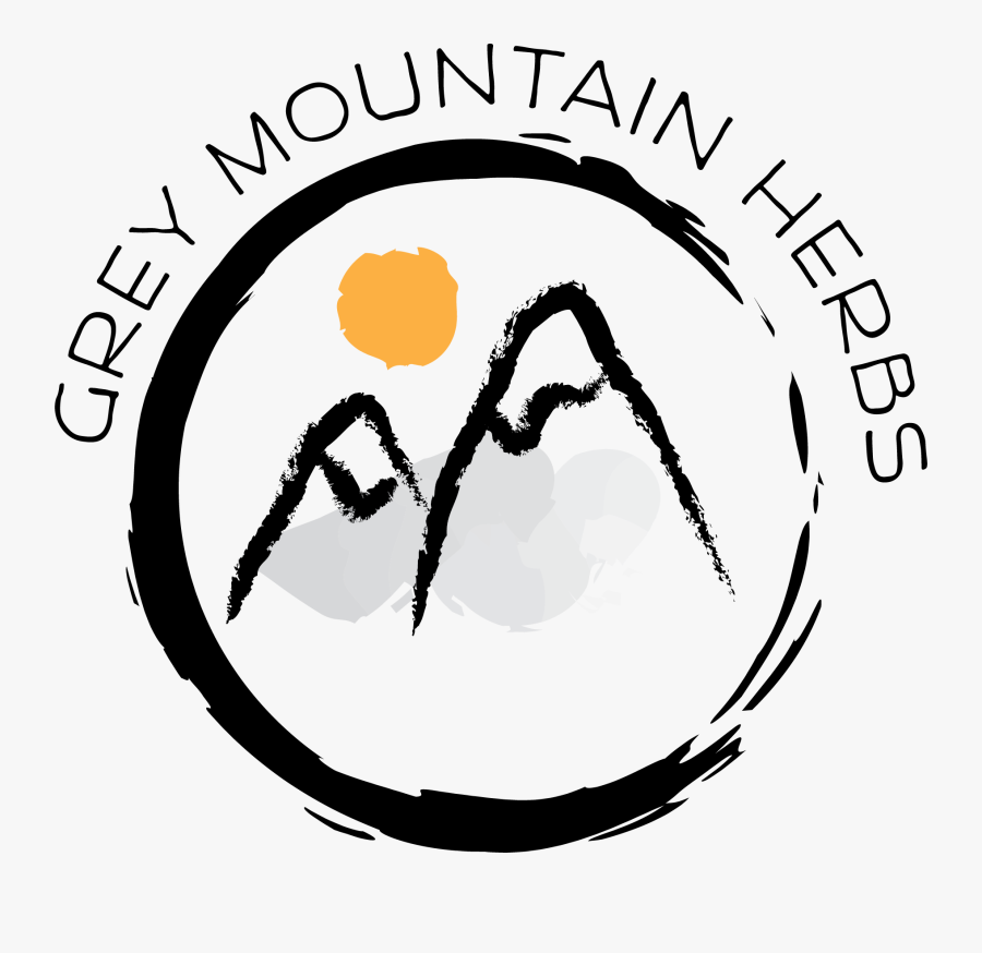 Google, Transparent Clipart