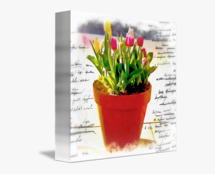 Watercolor Pot Of Tulips By Elizabeth Mix - Flowerpot, Transparent Clipart