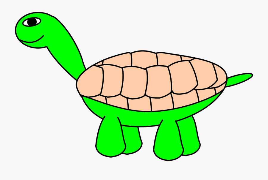 Tortoise Stage 6 Final Clipart, Vector Clip Art Online, - Cartoon Turtle, Transparent Clipart
