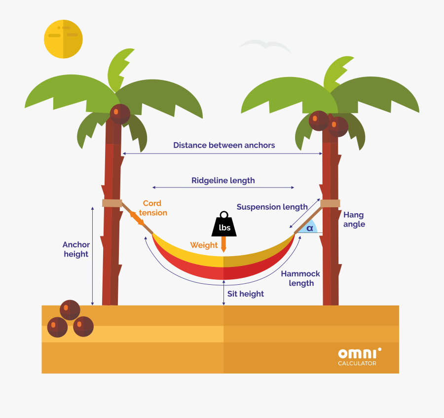 Hammock Image With All The Variables - Hammock Between Tall Trees, Transparent Clipart