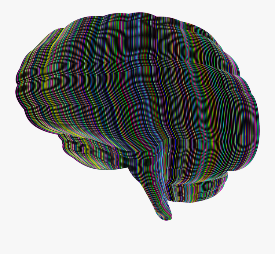 Cap,organism,capital Asset Pricing Model - Marine Biology, Transparent Clipart