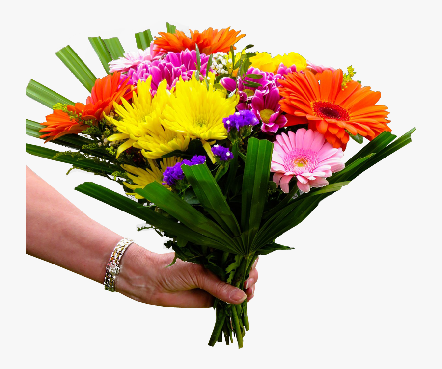 Health Get Well Soon Message, Transparent Clipart