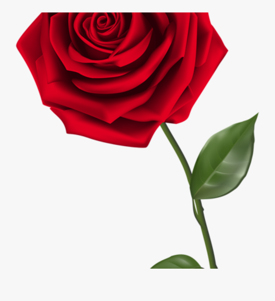 Single Rose Clipart Single Red Rose Png Clipart Image - Transparent Background Rose Clipart, Transparent Clipart