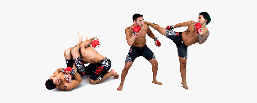 Mma Png, Transparent Clipart