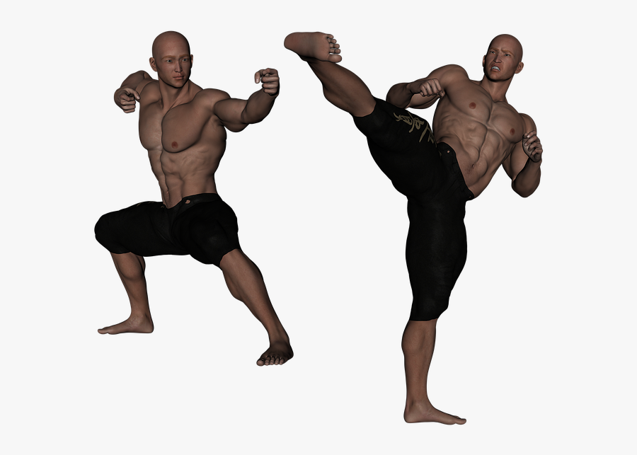 Kung Fu Fight, Transparent Clipart