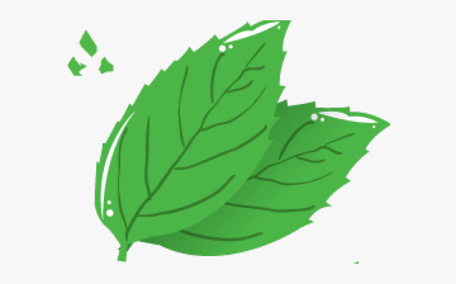 Green Tea Leaf Cartoon Png, Transparent Clipart