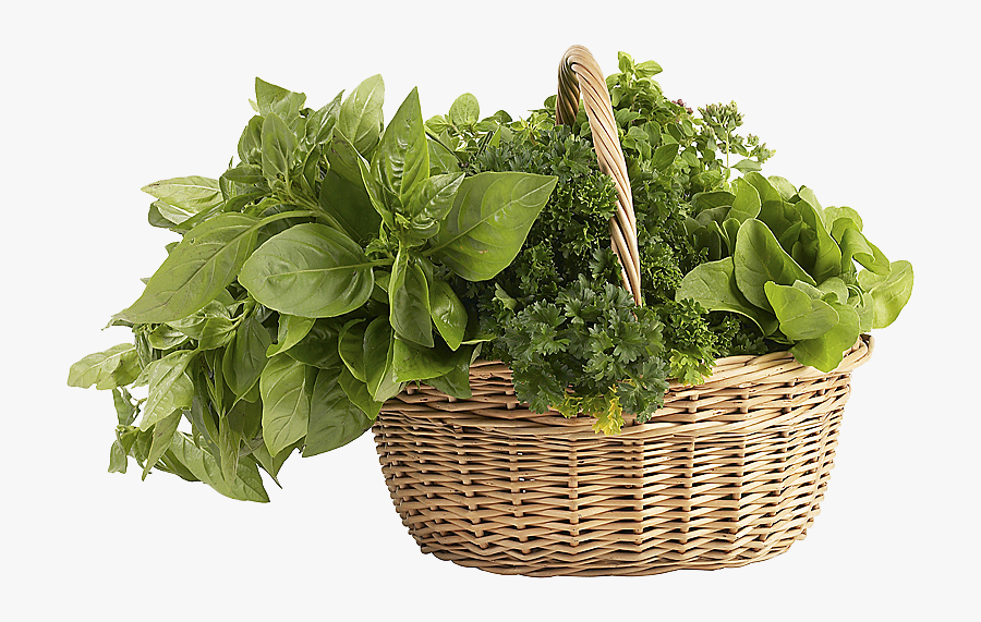 Herbs Png Clipart - Basket Herbs Png, Transparent Clipart
