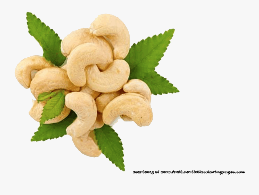 Cashew, Transparent Clipart