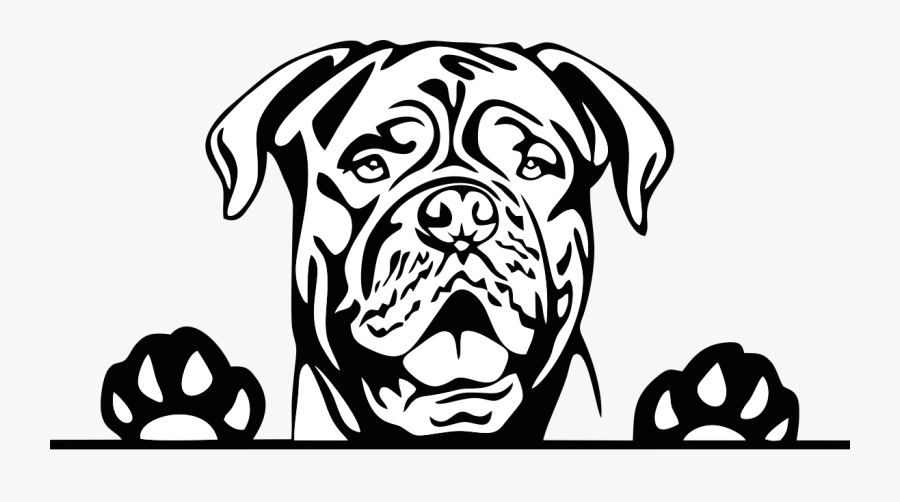 Hotsigns And Decals - Dog Decal, Transparent Clipart
