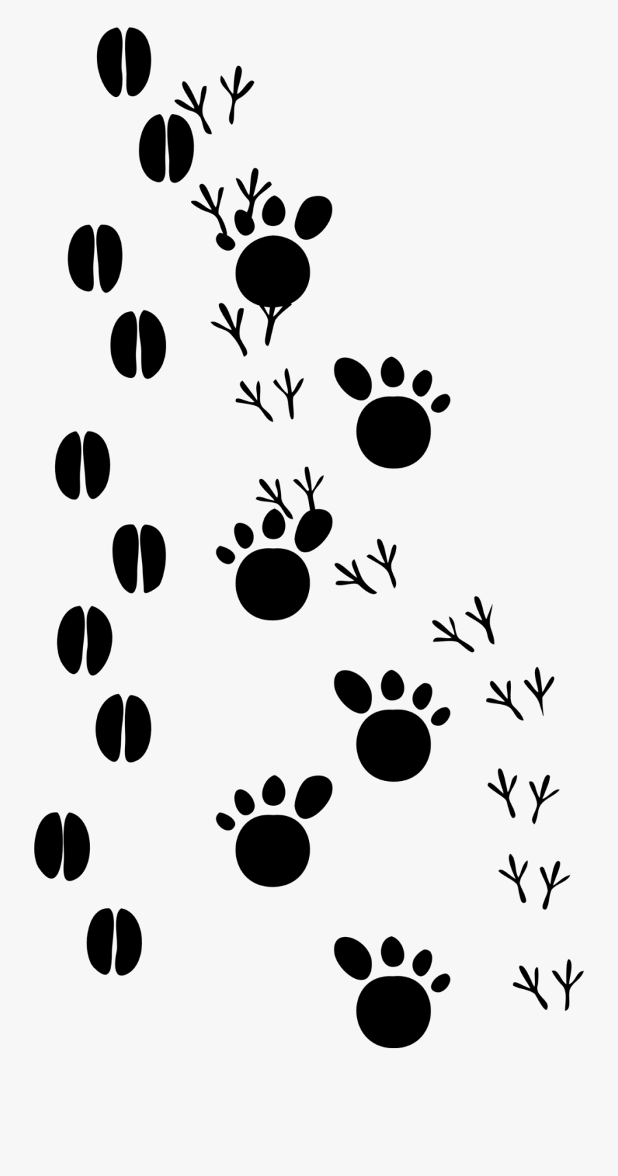 Animal Prints Clip Art, Transparent Clipart