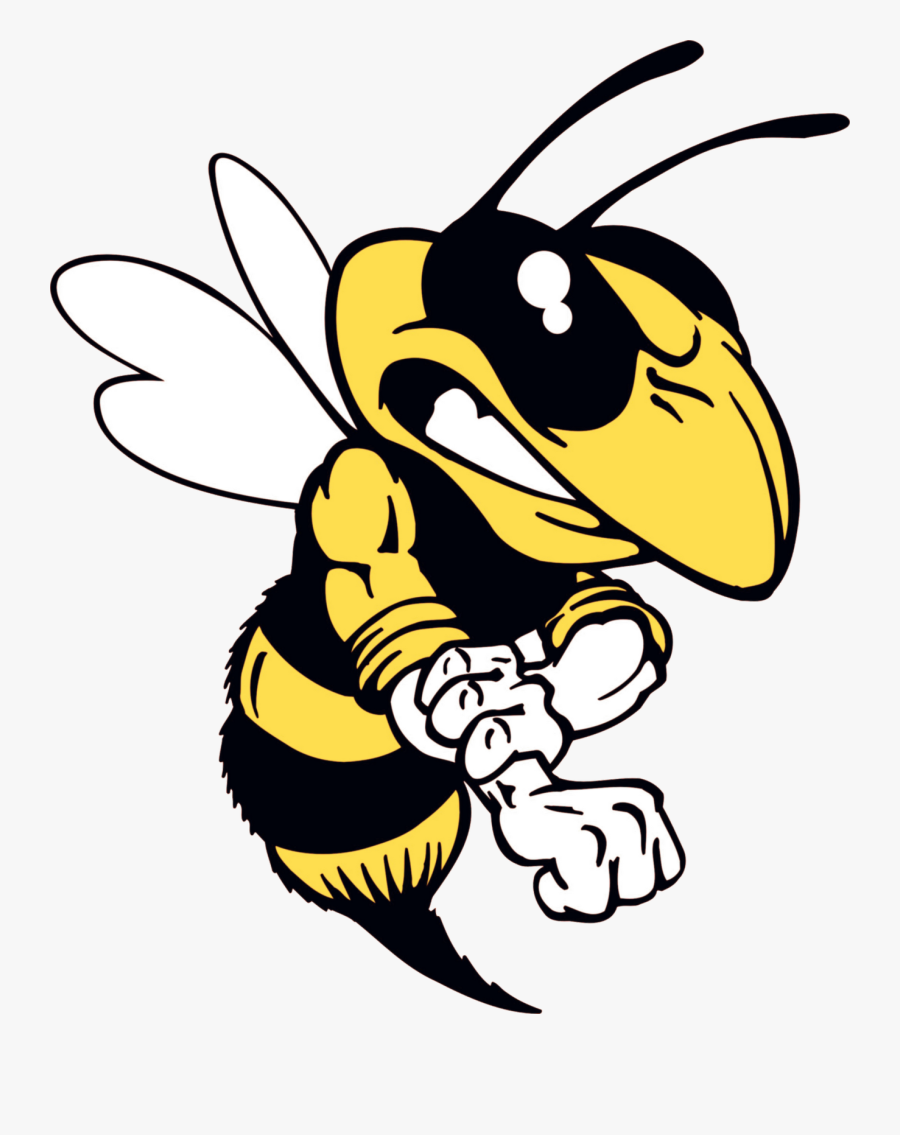 Hornet - Yellow Jacket Bee Cartoon, Transparent Clipart