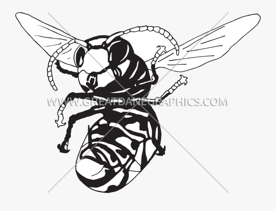 Image Library Library Drawing At Getdrawings Com - Illustration, Transparent Clipart