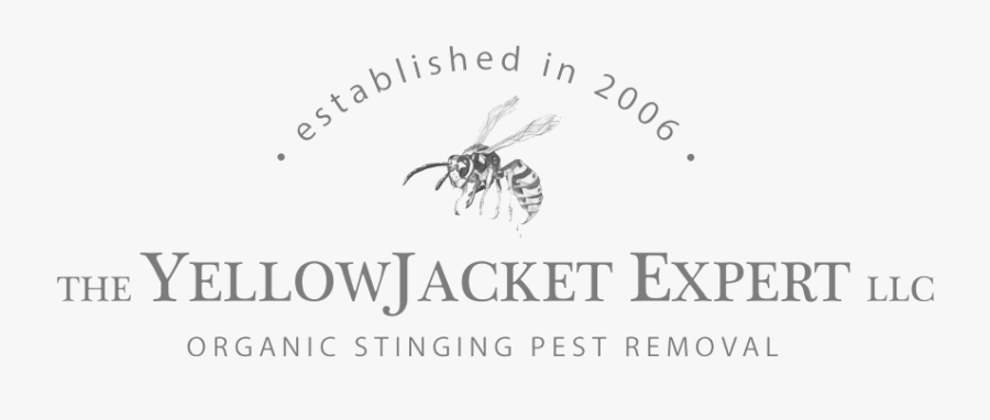 Tee Shirt Design 4 - Driskill Hotel, Transparent Clipart