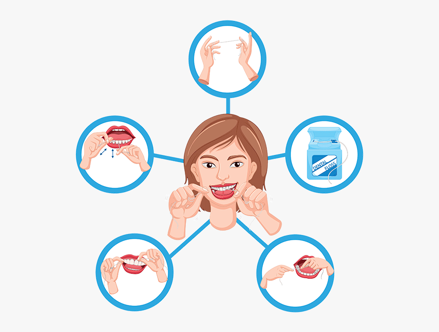 Proper Flossing Technique - Proceso De Limpieza Dental, Transparent Clipart