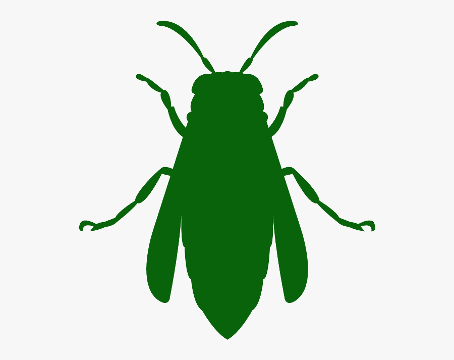 Bee, Transparent Clipart