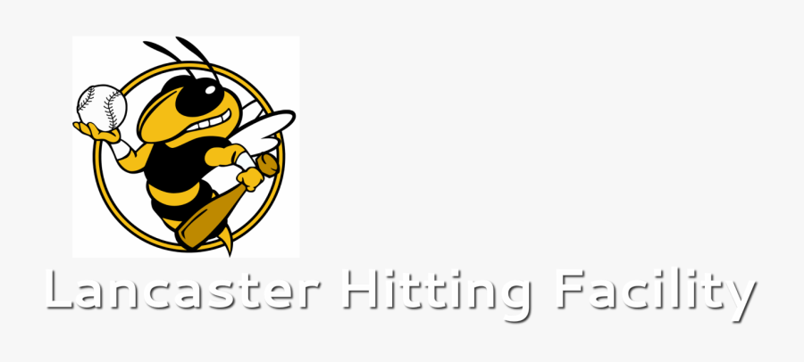 Gt Yellow Jackets Softball, Transparent Clipart