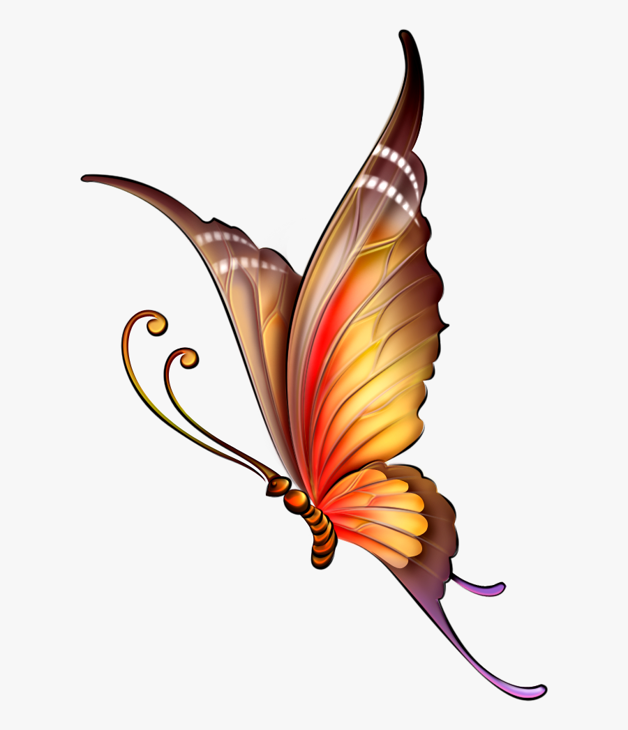 Colour Pencil Drawings Of Butterfly, Transparent Clipart